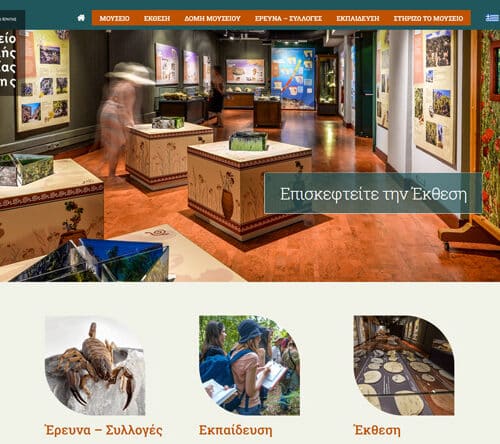 New Natural History Museum of Crete website